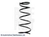 SUZUK 4111179J10 Coil Spring